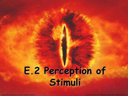 E.2 Perception of Stimuli. Four Sensory receptors: 1. Mechanoreceptors Stimulated by some type of pressure 2. Chemoreceptors respond to chemical substances.