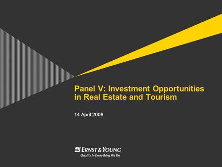 Panel V: Investment Opportunities in Real Estate and Tourism 14 April 2008.