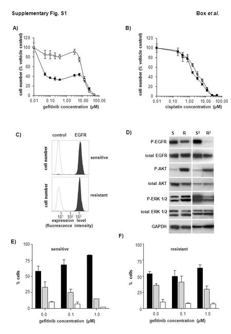 Cell number (% vehicle control) cisplatin concentration (µM)gefitinib concentration (µM) 10 1 10 2 10 3 cell number expression level (fluorescence intensity)