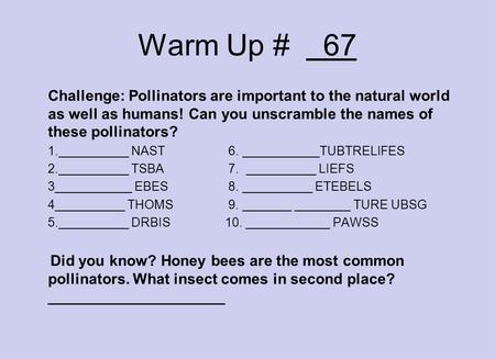 Warm Up # 67 Challenge: Pollinators are important to the natural world as well as humans! Can you unscramble the names of these pollinators? 1.__________.