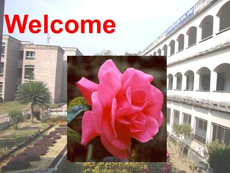 Welcome. Md. Shahidul Islam Senior Assistant Teacher (English & Computer) Brahmanbaria Ideal High Academy Mobile: 01715755939