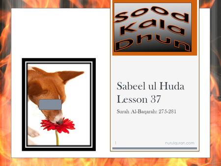 Sabeel ul Huda Lesson 37 Surah Al-Baqarah: 275-281 nurulquran.com1.