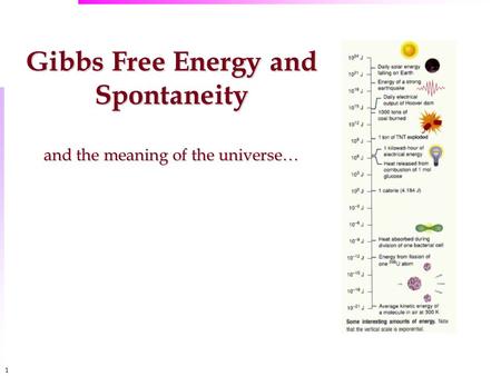 1 Gibbs Free Energy and Spontaneity and the meaning of the universe…