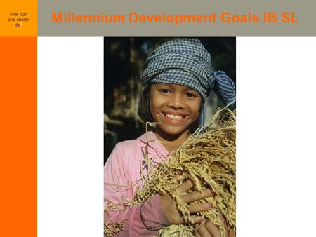 Millennium Development Goals IB SL