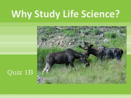 Quiz 1B. 1st and most important reason for studying life science: You can demonstrate your love for God and gain a better understanding of how creation.