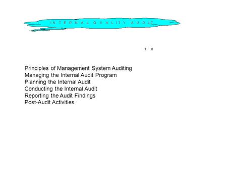 Principles of Management System Auditing Managing the Internal Audit Program Planning the Internal Audit Conducting the Internal Audit Reporting the Audit.