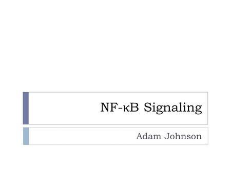 NF- κ B Signaling Adam Johnson. What is NF- κ B?  Transcription Factor  Dimer of Rel and NF- κ B proteins  RelA  RelB  c-Rel  p50  p52.