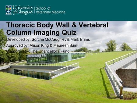 Thoracic Body Wall & Vertebral Column Imaging Quiz