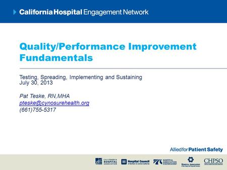 Quality/Performance Improvement Fundamentals Testing, Spreading, Implementing and Sustaining July 30, 2013 Pat Teske, RN,MHA