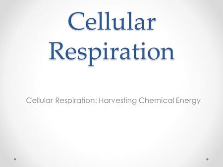 Cellular Respiration: Harvesting Chemical Energy