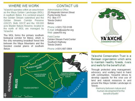 Ya'axché Conservation Trust is a Belizean organization which aims to maintain healthy forests, rivers and reefs for the benefit of all. Through protected.