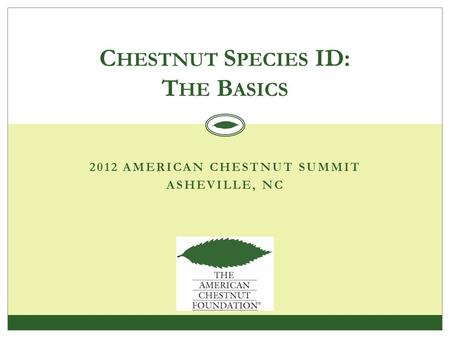 2012 AMERICAN CHESTNUT SUMMIT ASHEVILLE, NC C HESTNUT S PECIES ID: T HE B ASICS.