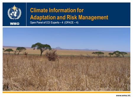 World Meteorological Organization Working together in weather, climate and water WMO Climate Information for Adaptation and Risk Management Open Panel.