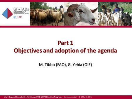 Part 1 Objectives and adoption of the agenda M. Tibbo (FAO), G. Yehia (OIE)