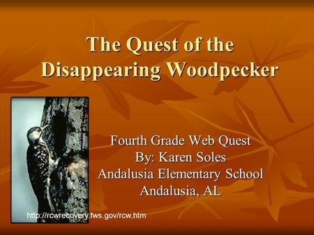 The Quest of the Disappearing Woodpecker Fourth Grade Web Quest By: Karen Soles Andalusia Elementary School Andalusia, AL