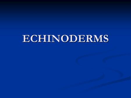 ECHINODERMS.