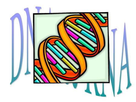 DNA & RNA.