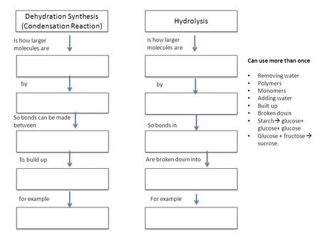 Dehydration Synthesis (Condensation Reaction) Hydrolysis