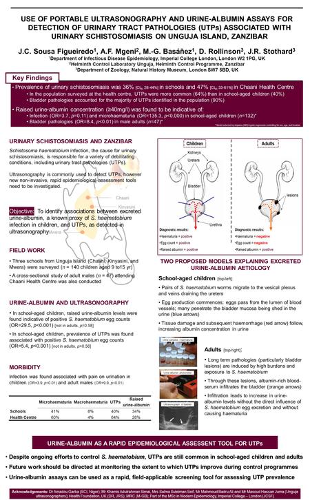 TWO PROPOSED MODELS EXPLAINING EXCRETED URINE-ALBUMIN AETIOLOGY School-aged children [top/left]: Pairs of S. haematobium worms migrate to the vesical plexus.