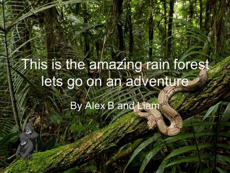 This is the amazing rain forest lets go on an adventure By Alex B and Liam.