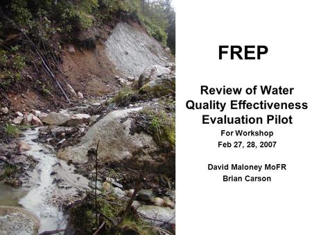 FREP Review of Water Quality Effectiveness Evaluation Pilot For Workshop Feb 27, 28, 2007 David Maloney MoFR Brian Carson.