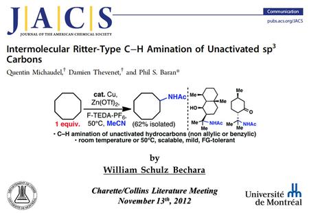 By William Schulz Bechara Charette/Collins Literature Meeting November 13 th, 2012.