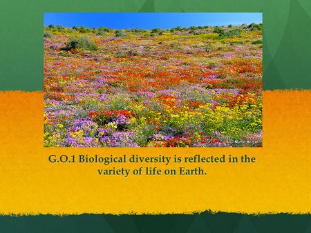 G.O.1 Biological diversity is reflected in the variety of life on Earth.