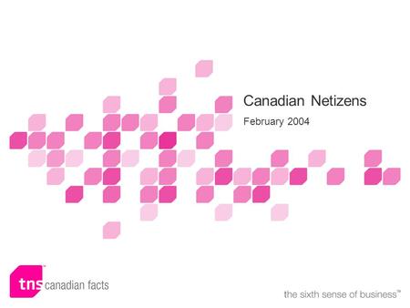 Name of presenter(s) or subtitle Canadian Netizens February 2004.