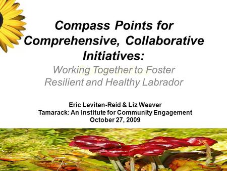 Compass Points for Comprehensive, Collaborative Initiatives: Communities Working Together to Foster Resilient and Healthy Labrador Eric Leviten-Reid &