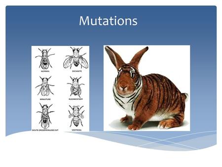 Mutations.