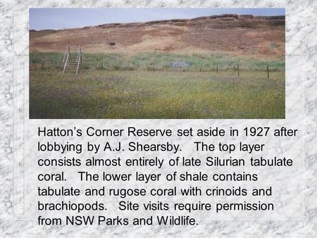 Hatton’s Corner Reserve set aside in 1927 after lobbying by A.J. Shearsby. The top layer consists almost entirely of late Silurian tabulate coral. The.