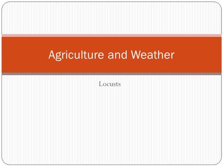 Locusts Agriculture and Weather. Types of Locusts Australian Plague Locust Spur Throated Locust Migratory Locust.