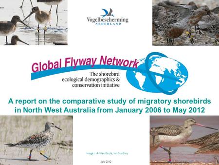 July 20121 A report on the comparative study of migratory shorebirds in North West Australia from January 2006 to May 2012 Images: Adrian Boyle, Ian Southey.