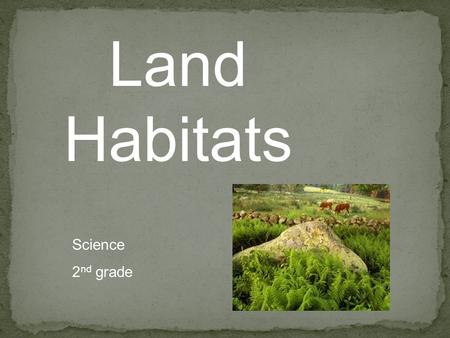 Land Habitats Science 2nd grade.