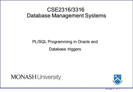 CSE2316/3316 Database Management Systems