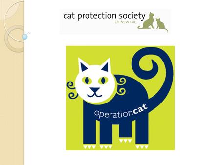 The Cat Protection Society of NSW Caring for cats since 1958 Our vision is that every cat has a loving and responsible home Independent membership based.