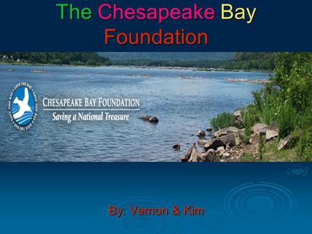 The Chesapeake Bay Foundation By: Vernon & Kim.  The Chesapeake Bay Foundation is supportive of the Clean up of the bay.  The CBF is for force a clean-up.