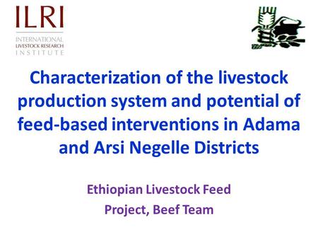 Ethiopian Livestock Feed Project, Beef Team