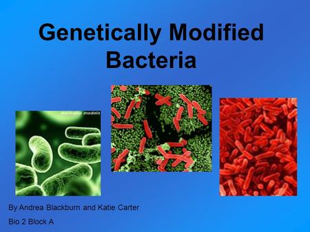 Genetically Modified Bacteria