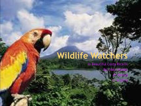 Wildlife Watchers In Beautiful Costa Rica!!! By: Alex Holder 4 th Period 11-9-2010.