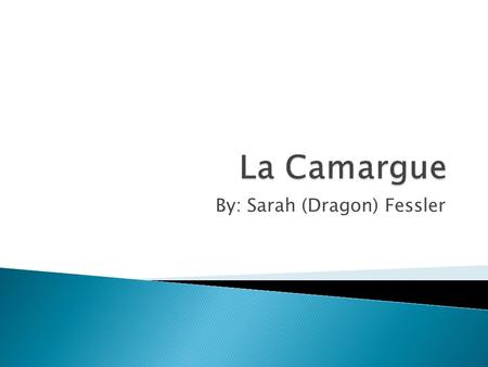 By: Sarah (Dragon) Fessler. The production of salt plays a central role in the history of the region (and France as a whole) due to “la Gabelle” in the.