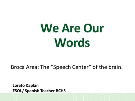 Broca Area: The “Speech Center” of the brain.