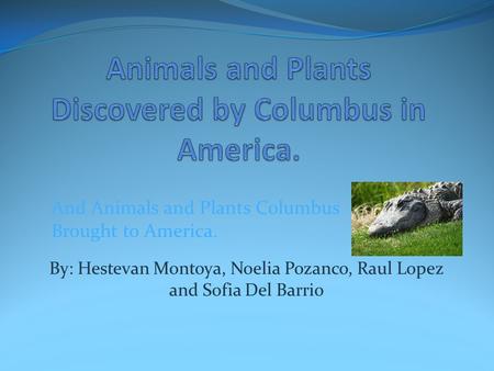 Animals and Plants Discovered by Columbus in America.