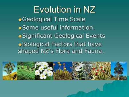 Evolution in NZ  Geological Time Scale  Some useful information.  Significant Geological Events  Biological Factors that have shaped NZ’s Flora and.