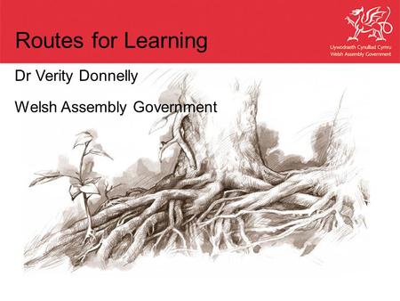 Dr Verity Donnelly Welsh Assembly Government Routes for Learning.