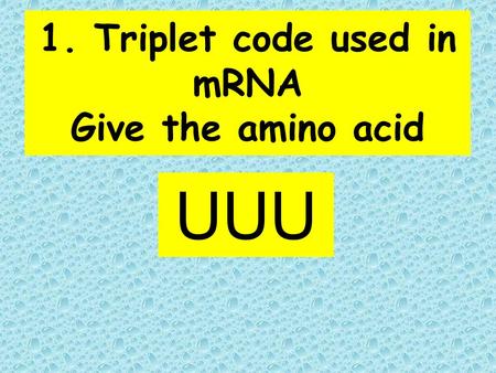 1. Triplet code used in mRNA Give the amino acid UUU.