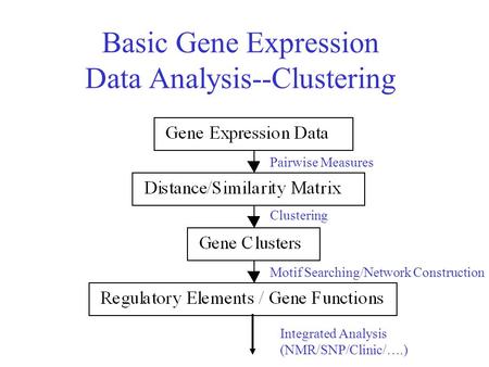 Basic Gene Expression Data Analysis--Clustering