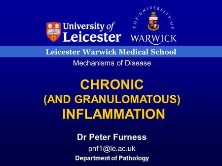 CHRONIC (AND GRANULOMATOUS) INFLAMMATION