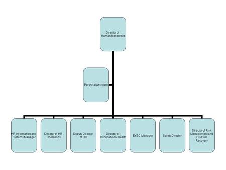 Director of Human Resources HR Information and Systems Manager Director of HR Operations Deputy Director of HR Director of Occupational Health EYEC ManagerSafety.