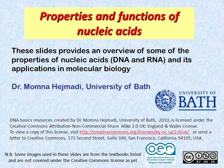 Properties and functions of nucleic acids